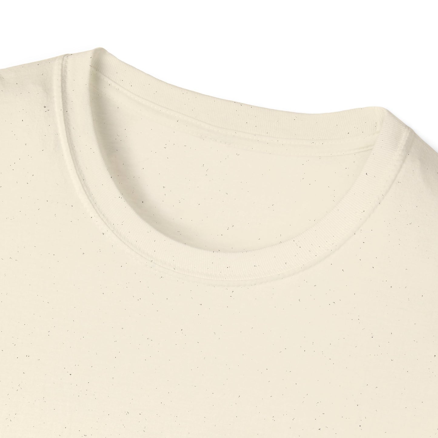 AM RECORDS T-SHIRT