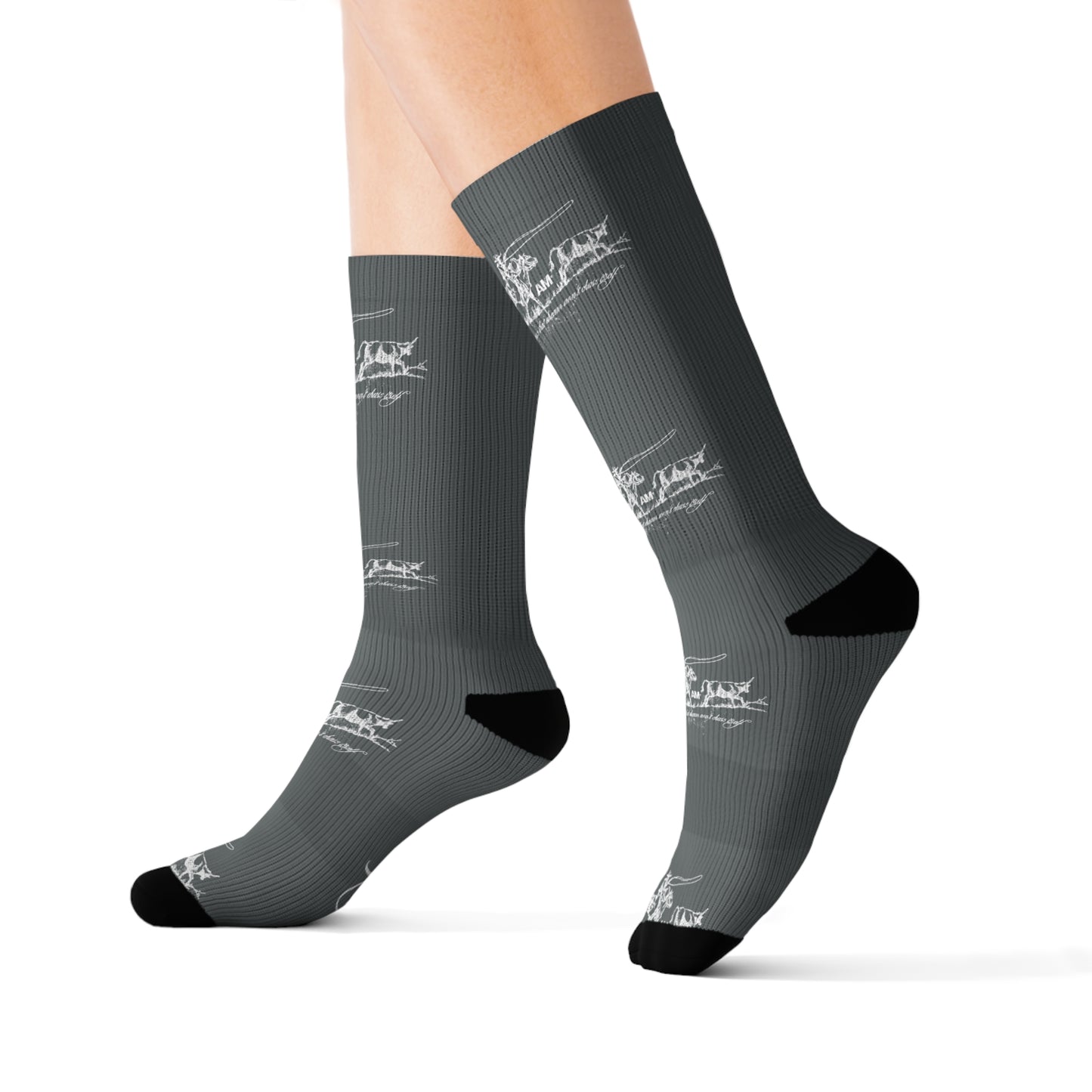 [THE DREAM CHASER] Socks