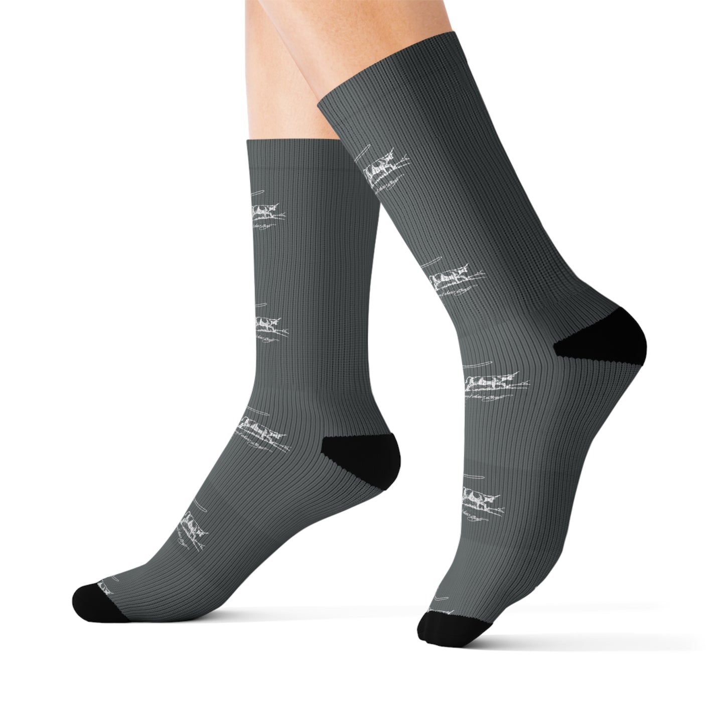 [THE DREAM CHASER] Socks